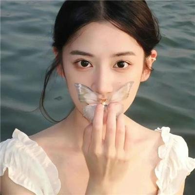 美丽谎言2014